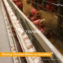 China Hochwertige Viehbestand Hühnerkäfige für Schicht